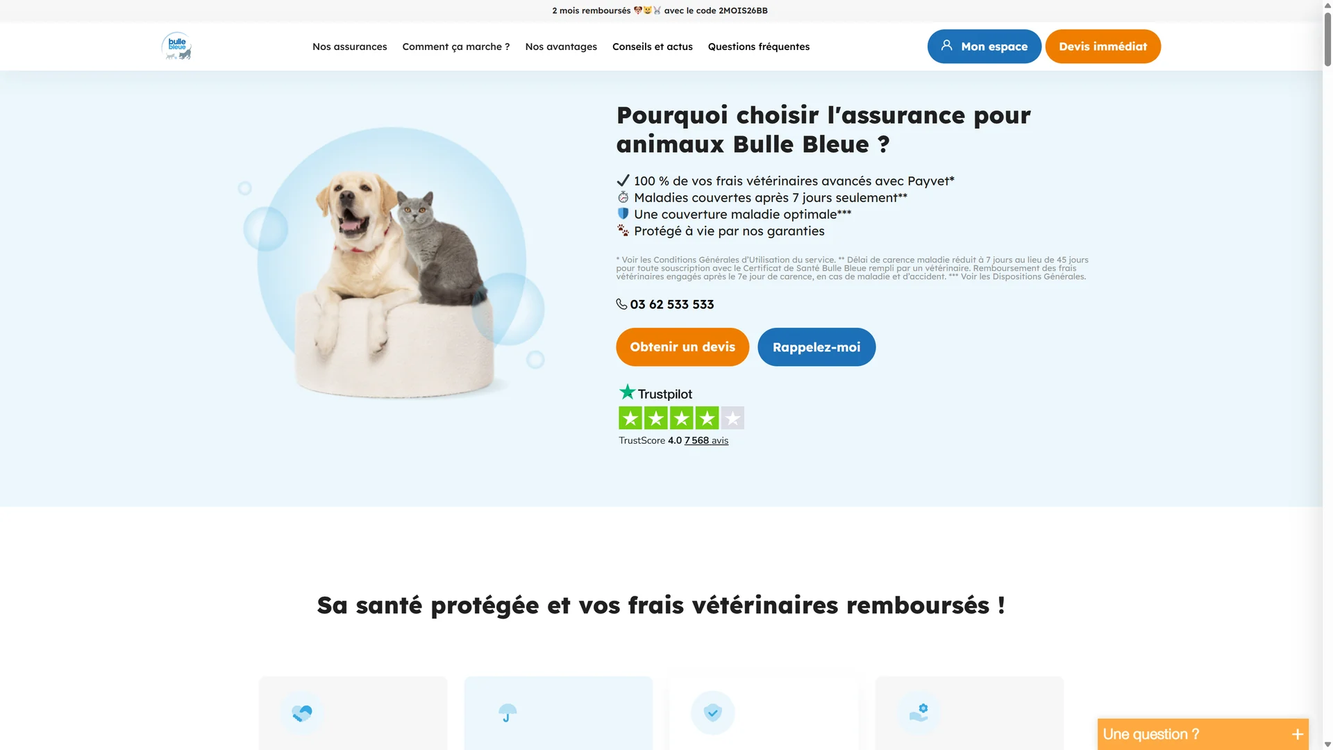 Homepage Bulle Bleue